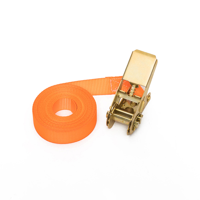 1インチ25mm*500kg/800kgエンドレスループラチェットストラップ